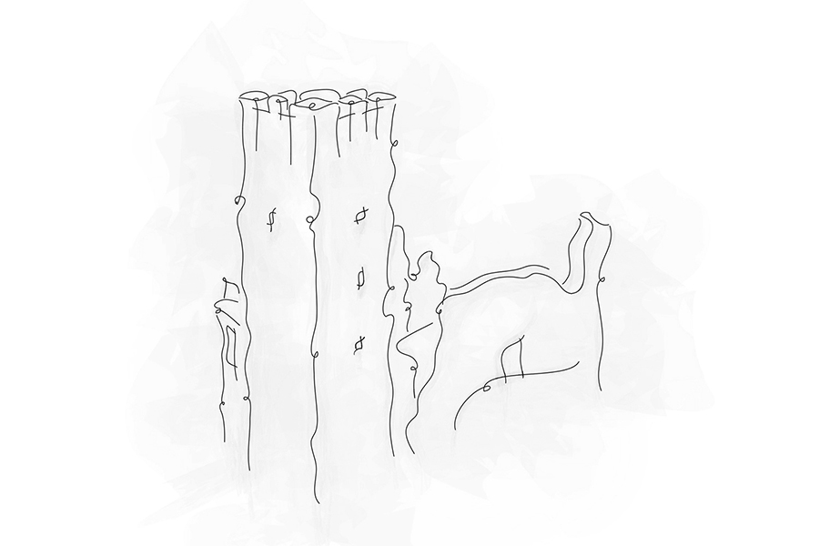 dees illustration of the remains of Momjan castle
