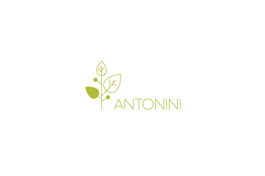 dees logo design for Antonini, a company working with solar energy